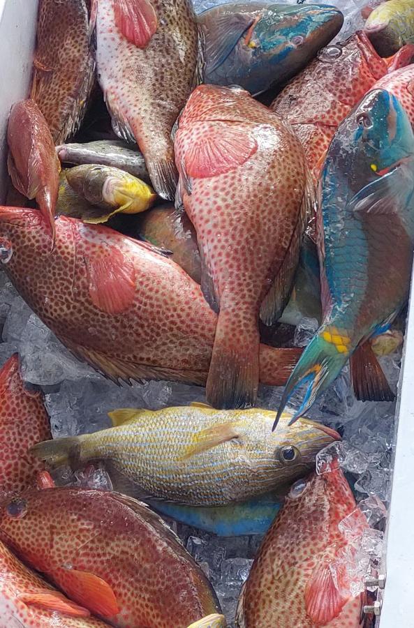 Fresh Cool Love Marigot  Exterior foto